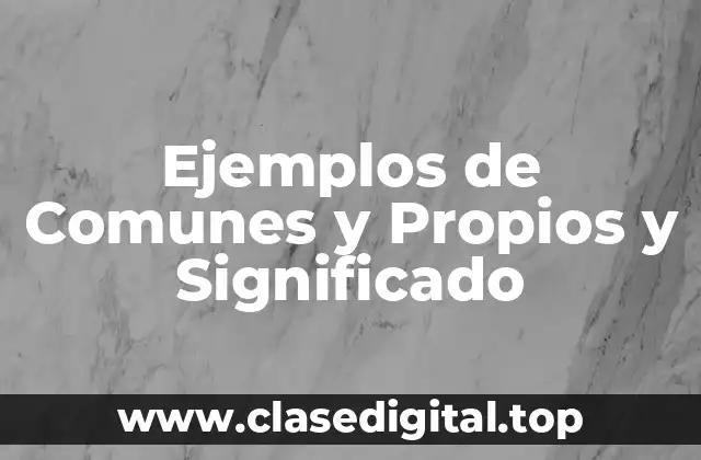 Ejemplos de Comunes y Propios y Significado
