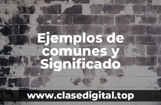 Ejemplos de comunes y Significado