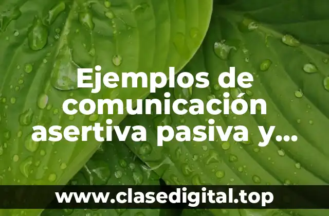 Ejemplos de comunicación asertiva pasiva y agresiva y Significado