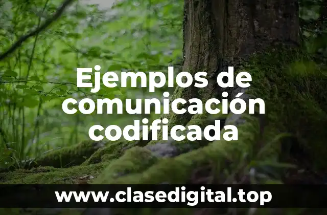 Ejemplos de comunicación codificada