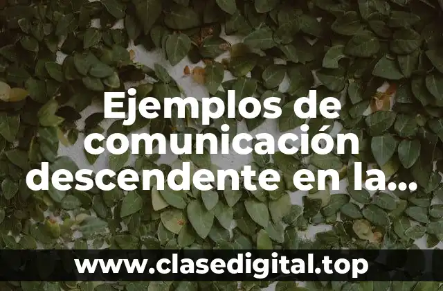 Ejemplos de comunicación descendente en la empresa y Significado