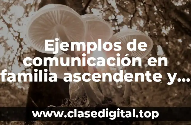 Ejemplos de comunicación en familia ascendente y descendente