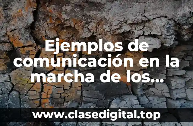 Ejemplos de comunicación en la marcha de los pinguinos y Significado