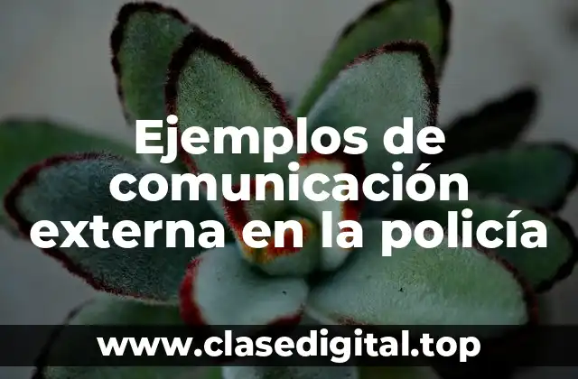 Ejemplos de comunicación externa en la policía