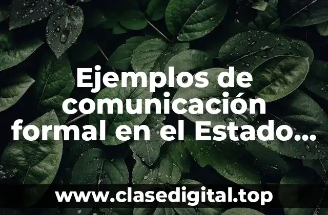 Ejemplos de comunicación formal en el Estado de México y Significado