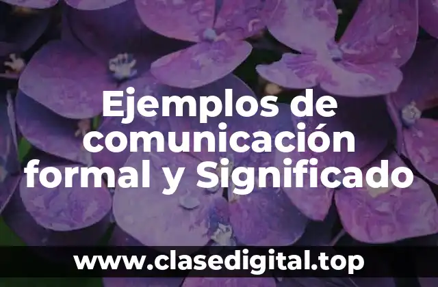 Ejemplos de comunicación formal y Significado