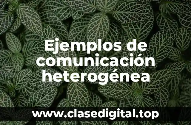 Ejemplos de comunicación heterogénea