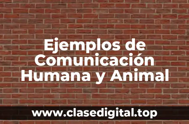 Ejemplos de Comunicación Humana y Animal