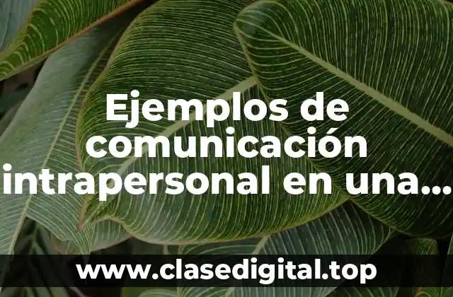 Ejemplos de comunicación intrapersonal en una empresa