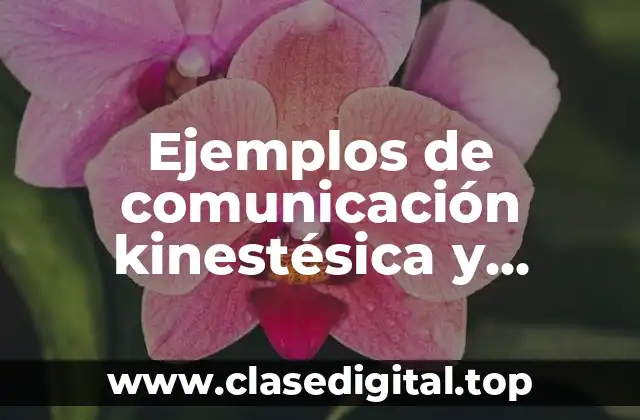 Ejemplos de comunicación kinestésica