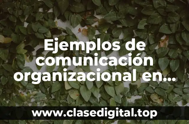 Ejemplos de comunicación organizacional
