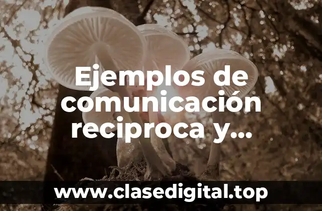 Ejemplos de comunicación reciproca y Significado