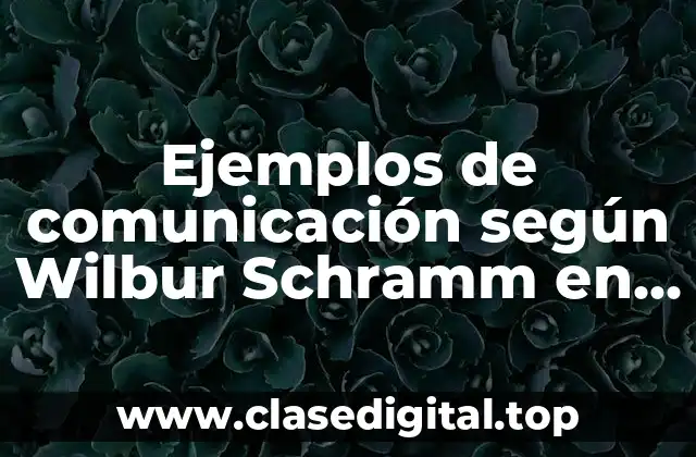 Ejemplos de comunicación según Wilbur Schramm en la vida real