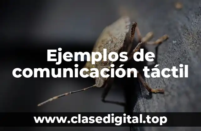 Ejemplos de comunicación táctil