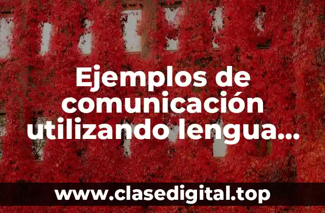 Ejemplos de comunicación utilizando lengua, lenguaje y habla