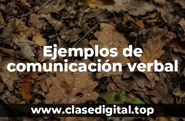 Ejemplos de comunicación verbal