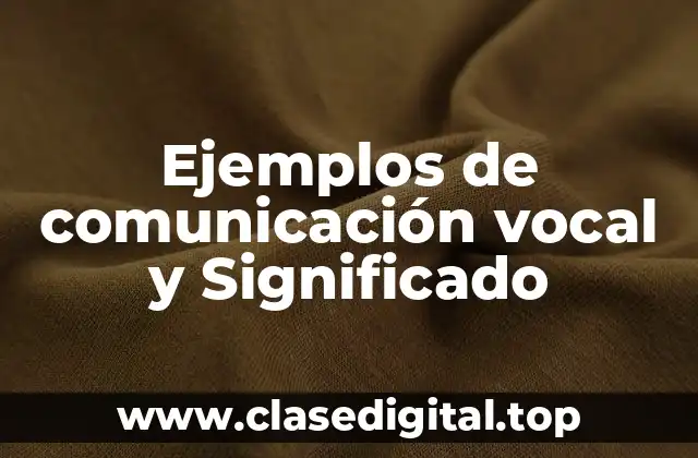 Ejemplos de comunicación vocal y Significado