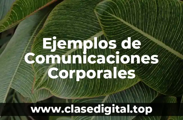 Ejemplos de Comunicaciones Corporales