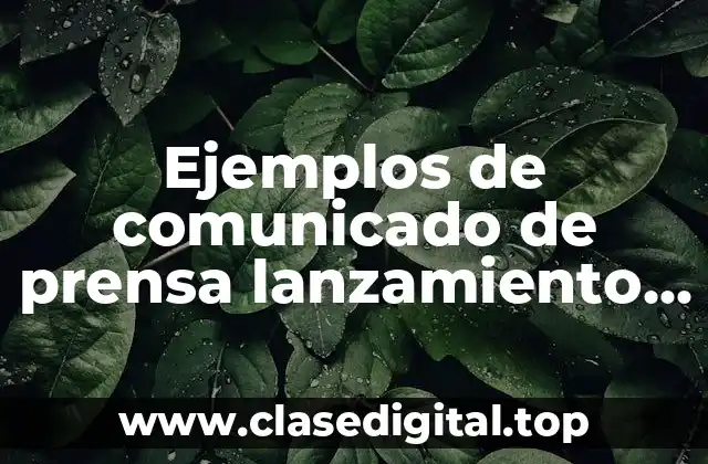 Ejemplos de comunicado de prensa lanzamiento de producto