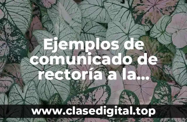 Ejemplos de comunicado de rectoría a la comunidad universitaria y Significado