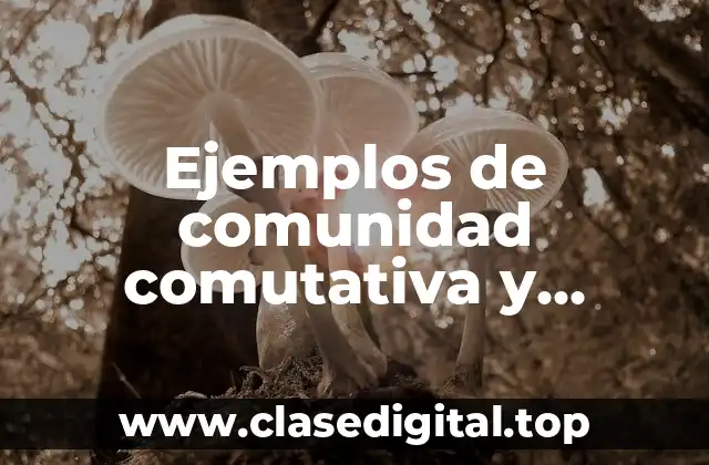 Ejemplos de comunidad comutativa y Significado