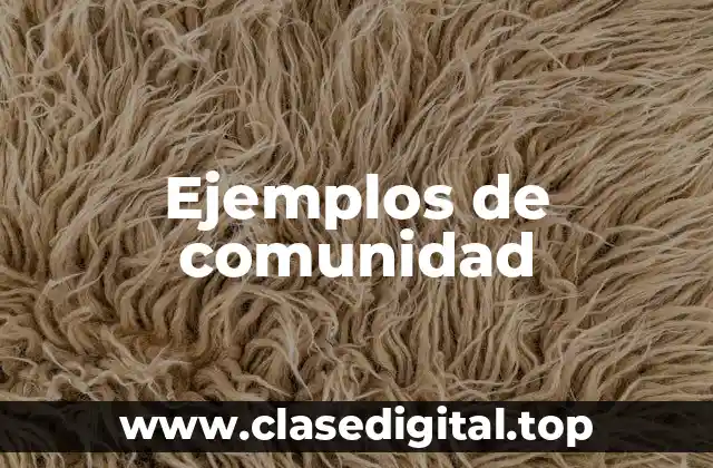Ejemplos de comunidad
