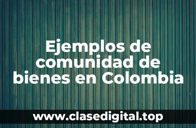 Ejemplos de comunidad de bienes en Colombia