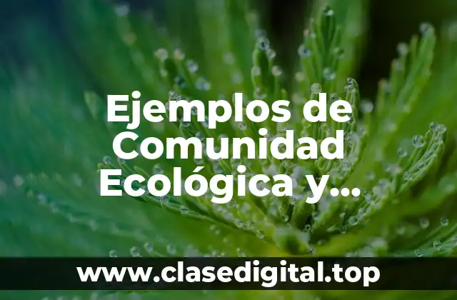 Ejemplos de Comunidad Ecológica y Significado