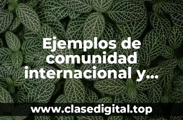 Ejemplos de comunidad internacional y Significado