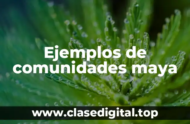 Ejemplos de comunidades maya