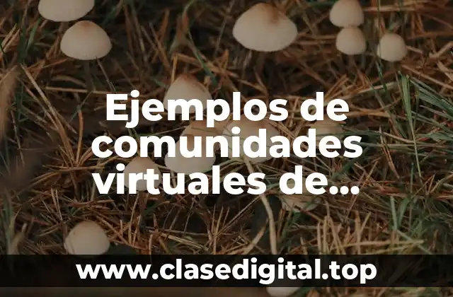 Ejemplos de comunidades virtuales de negocios