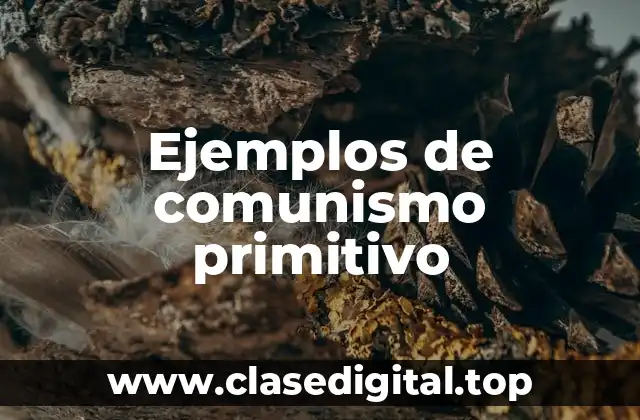 Ejemplos de comunismo primitivo