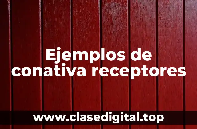 Ejemplos de conativa receptores
