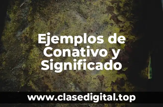 Ejemplos de Conativo y Significado