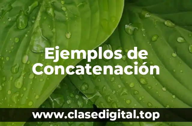 Ejemplos de Concatenación