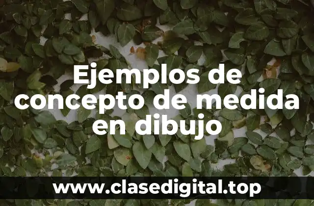 Ejemplos de concepto de medida en dibujo