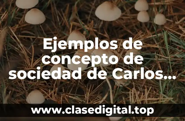 Ejemplos de concepto de sociedad de Carlos Marx materialismo