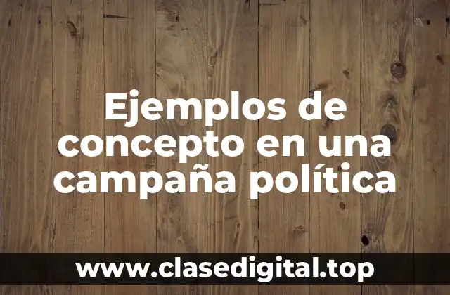 Ejemplos de concepto en una campaña política