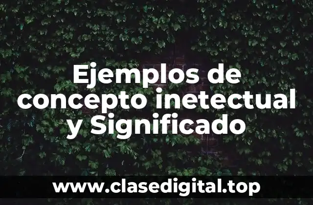 Ejemplos de concepto inetectual y Significado