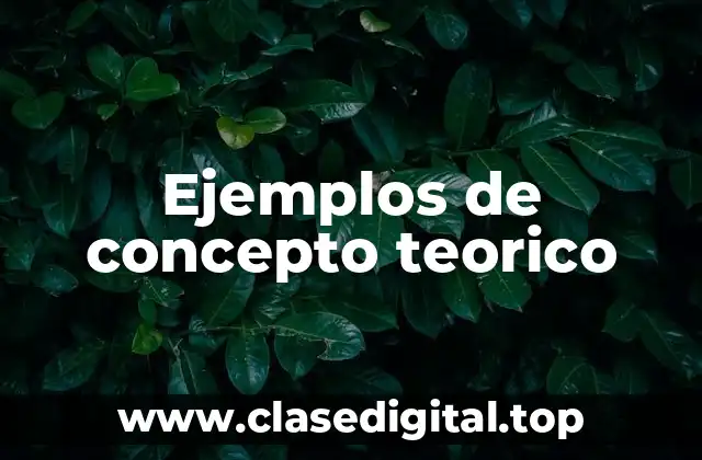 Ejemplos de concepto teorico
