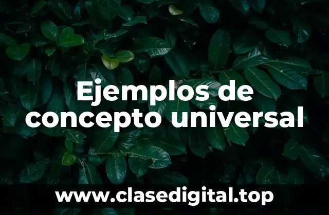 Ejemplos de concepto universal