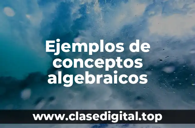 Ejemplos de conceptos algebraicos