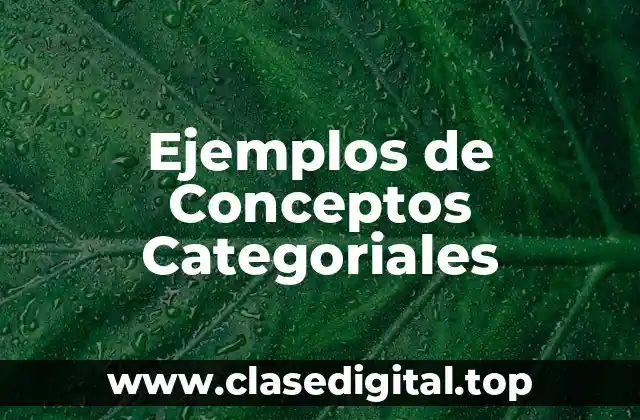 Ejemplos de Conceptos Categoriales