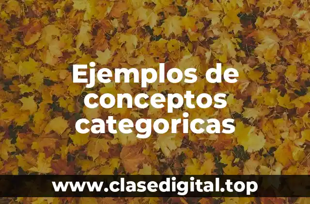 Ejemplos de conceptos categoricas
