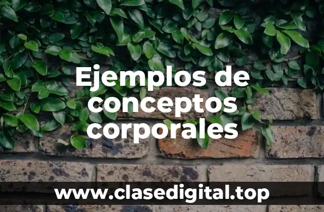 Ejemplos de conceptos corporales