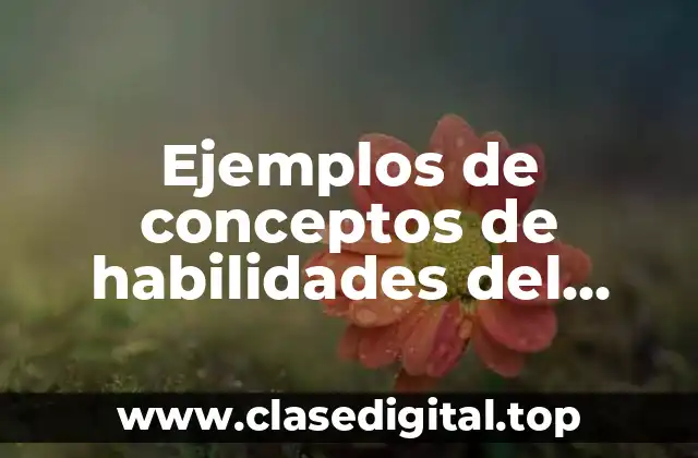 Ejemplos de conceptos de habilidades del pensamiento