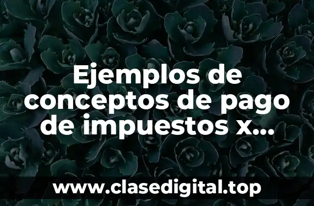 Ejemplos de conceptos de pago de impuestos x productos