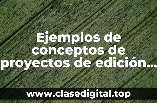Ejemplos de conceptos de proyectos de edición publicitaria