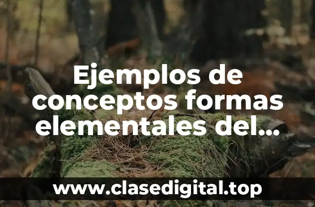 Ejemplos de conceptos formas elementales del pensamiento