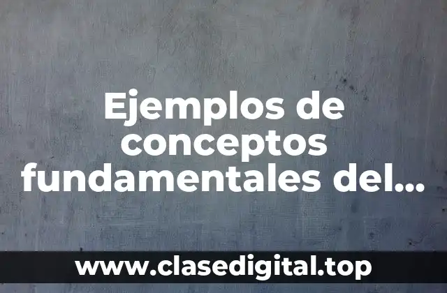 Ejemplos de conceptos fundamentales del derecho y Significado